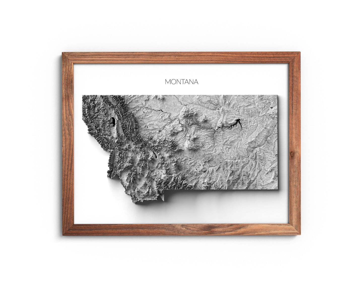 Montana Elevation Map